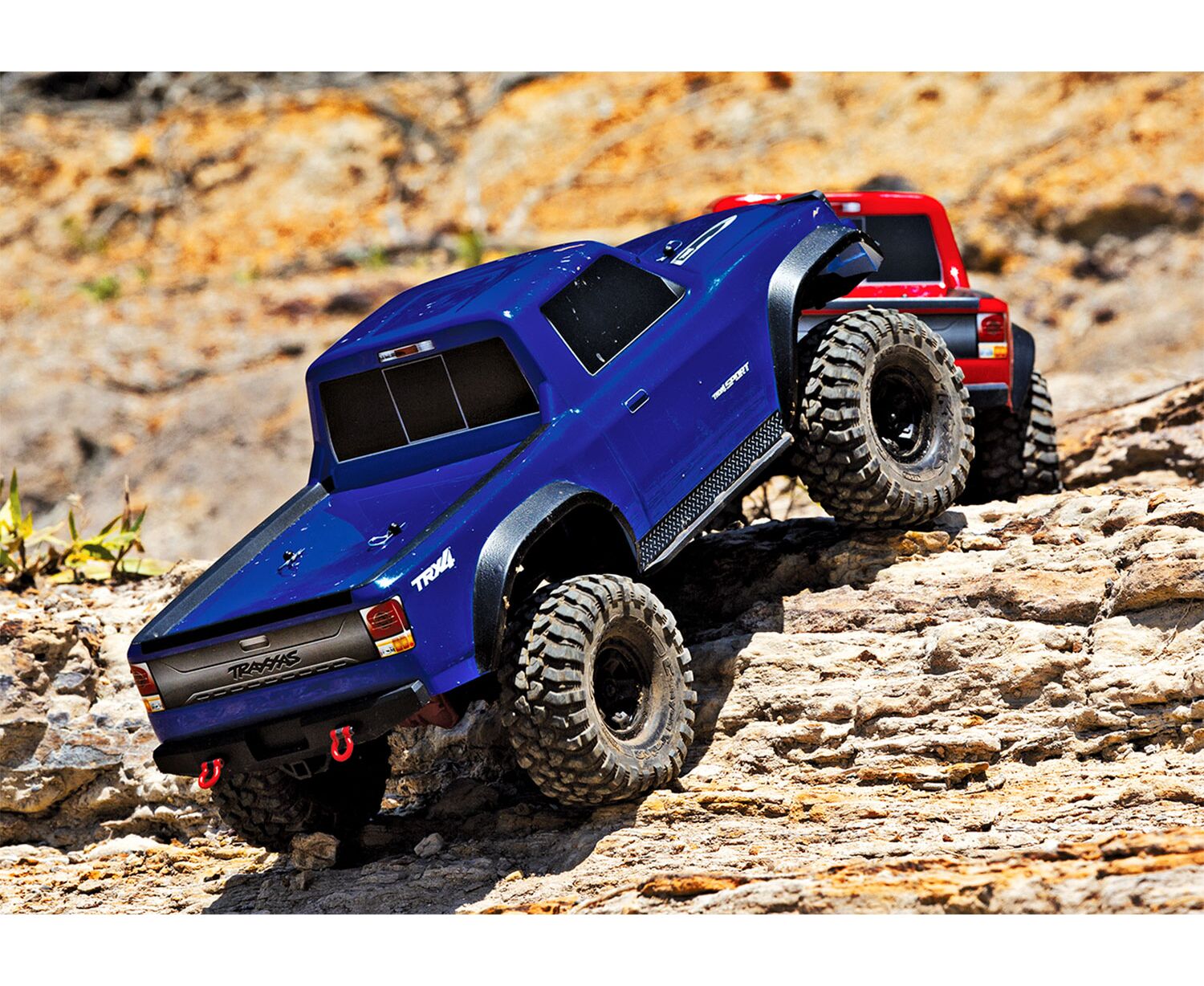 RC Fahrzeug :: RC Auto :: Traxxas Crawler TRX4-Sport 1:10 4WD RTR blau